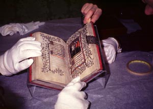 Gloves and Manuscripts